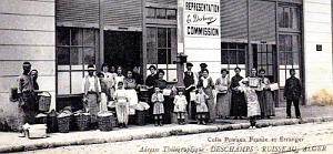2804- Alger - Le Ruisseau - Fruits et Legumes Deschamps2